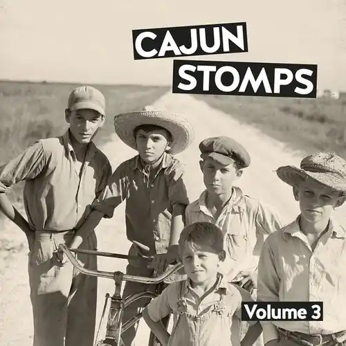 Cajun Stomps 03 / Various Buy Direct