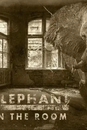 Shop Now Elephant In The Room