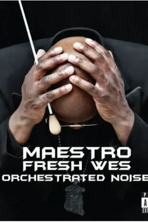 Next Day Delivery Orchestrated Noise
