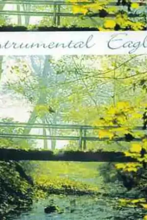 Today Only Instrumental Eagles