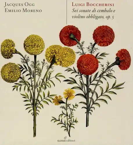 Authentic 6 Sonate Di Cembalo E Violino Obbligato