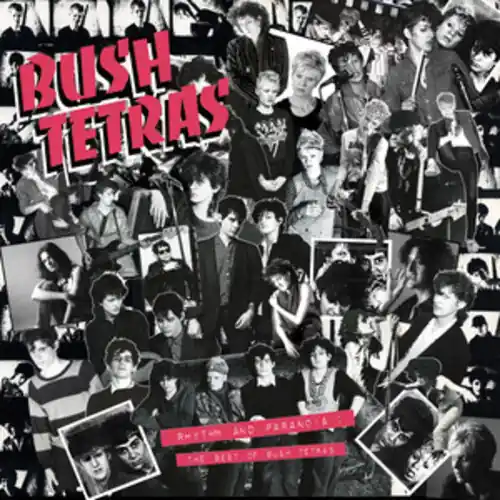 Limited Edition Rhythm & Paranoia: The Best Of Bush Tetras