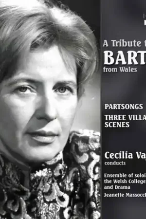Weekend Sale Tribute Bartok From Wales