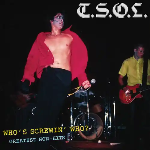 Seasonal Sale Who's Screwing Who - Greatest Non-Hits
