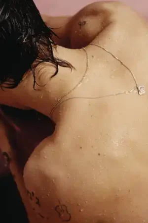 Harry Styles [LP] Fast Shipping