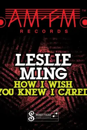 How I Wish You Knew I Cared Free Delivery