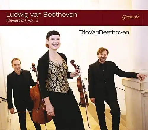 Piano Trios Direct From Factory