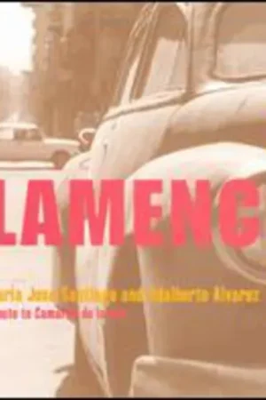 Flamenco Son Brand New