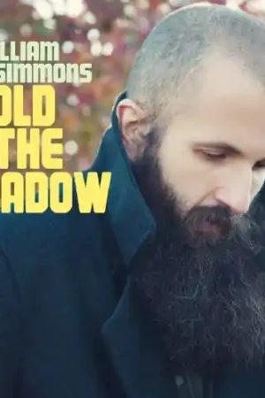 Gold in the Shadow Fresh Stock