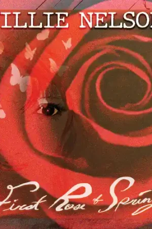 First Rose Of Spring Exclusive