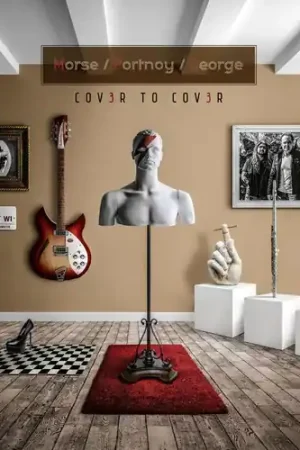 Must Have Cov3r To Cov3r [Import 2LP+CD]