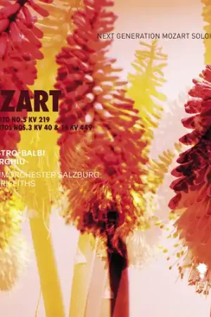 Direct From Factory Violin Concerto No. 5, Kv 219 Piano Concertos Nos