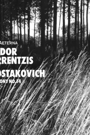 Symphony 14 Special Discount