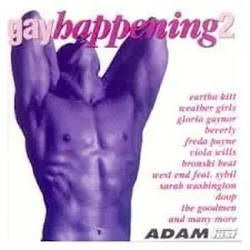 Vol. 2-Gay Happening Next Day Delivery