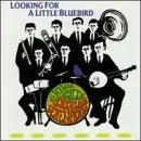 Super Sale Looking For A Little Bluebird