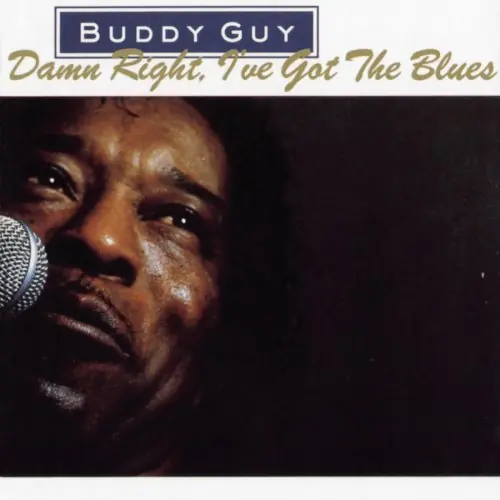 Free Delivery Damn Right I Got The Blues