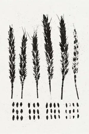 Lo! - Gleaners (LP) Big Sale