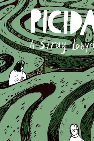 Picidae - A Stray Labyrinth (LP) Same Day Shipping