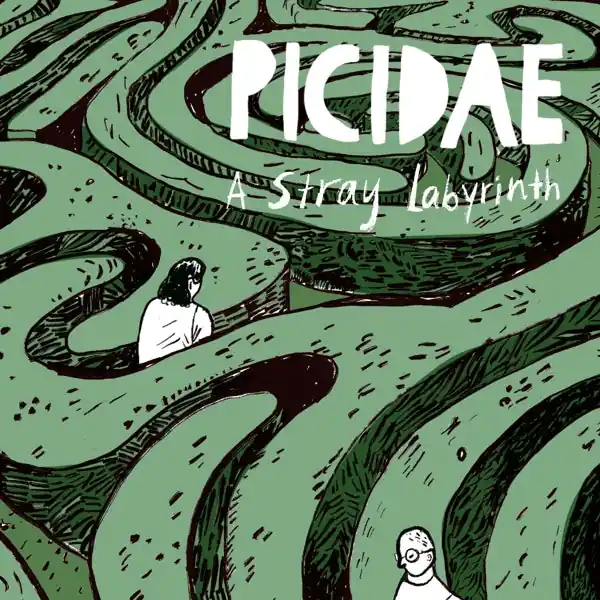 Picidae - A Stray Labyrinth (LP) Same Day Shipping