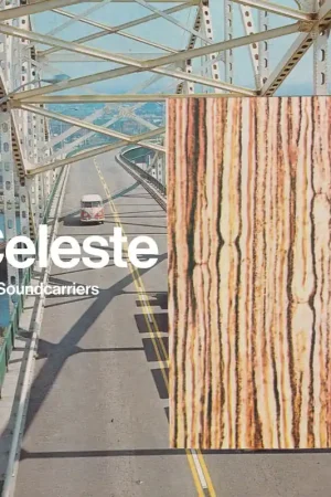 Discount Soundcarriers - Celeste (2 LPs)