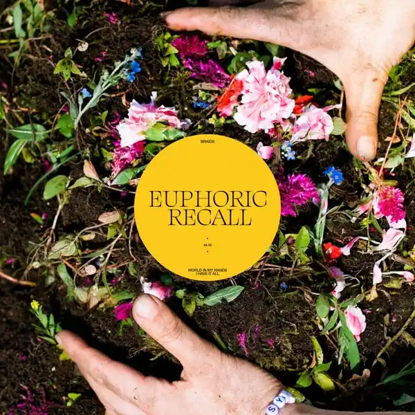 Braids - Euphoric Recall (LP) Buy Online