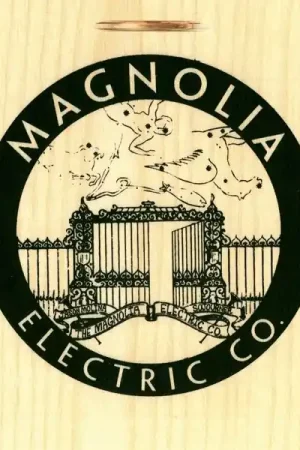 Magnolia Electric Co. - Sojourner (4 LPs) Original