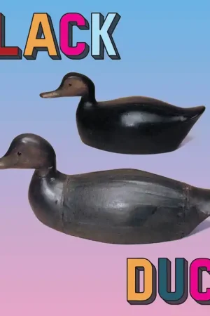 Black Duck - Black Duck (LP) Markdown