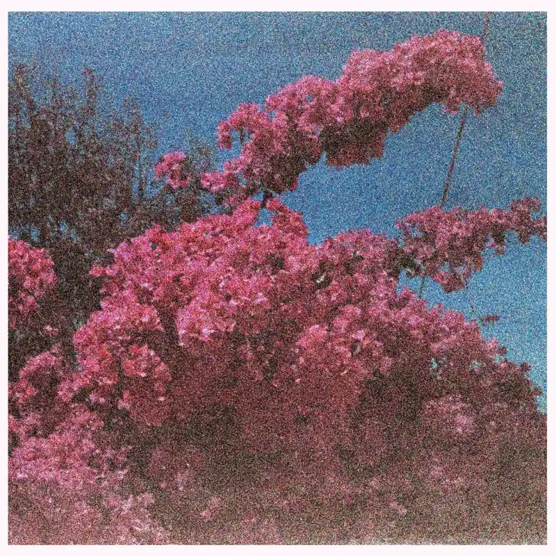 Budget Elisabeth Klinck - Picture a Frame (White) (LP)