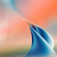 Crafted Koffie - Kokon (LP)