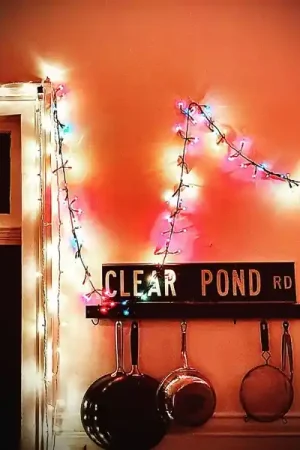 Latest Kristin Hersh - Clear Pond Road (LP)