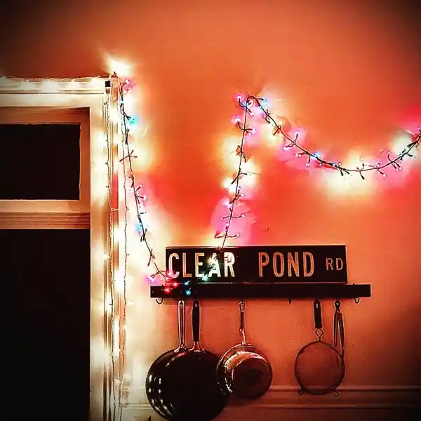 Latest Kristin Hersh - Clear Pond Road (LP)