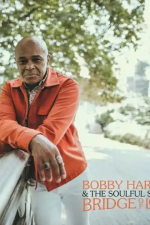 Bobby & the Soulful Saints Harden - Bridge of Love (LP) Top Rated
