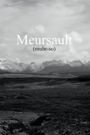 Meursault - Meursault (LP) Flash Sale
