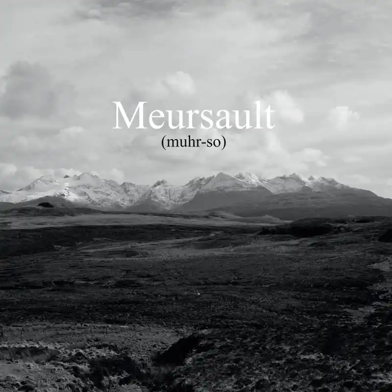 Meursault - Meursault (LP) Flash Sale