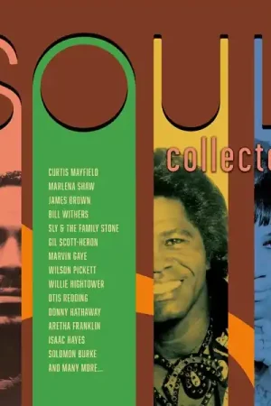 V/A - Soul Collected (2 LPs) Factory Price