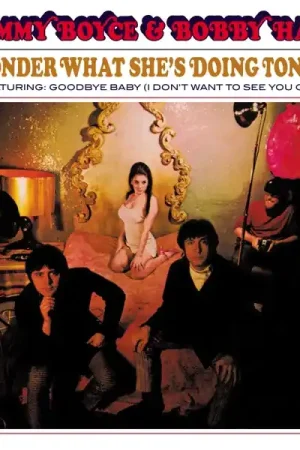 Tommy & Bobby Hart Boyce - I Wonder What She's Doing Tonite? (LP) One Day Deal