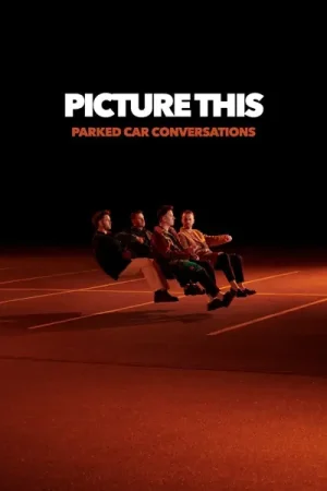 Picture This - Parked Car Conversations (2 LPs) Fast Shipping