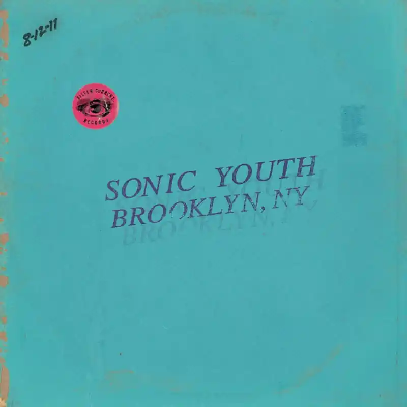 Professional Grade Sonic Youth - Live In Brooklyn 2011 (2 LPs)