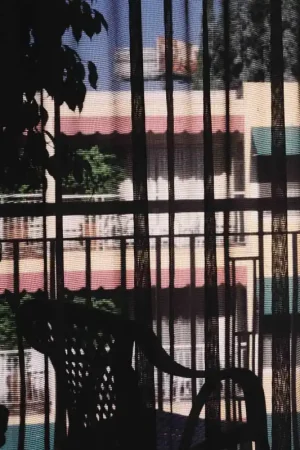 Section 25 - Dark Light (LP) Fresh Stock