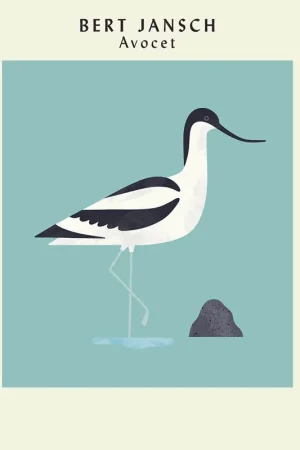 Bert Jansch - Avocet (Art Print Edition) (LP) Exclusive Offer
