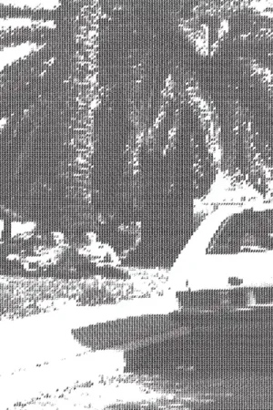 Khotin - Beautiful You (LP) New Release