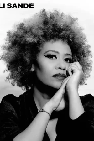 Warranty Included Emeli Sande - How Were We To Know (LP)