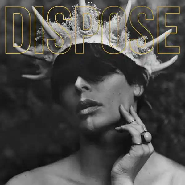 Plot In You - Dispose (LP) Special Offer