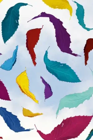 Super Sale New Order - True Faith Remix (Single)