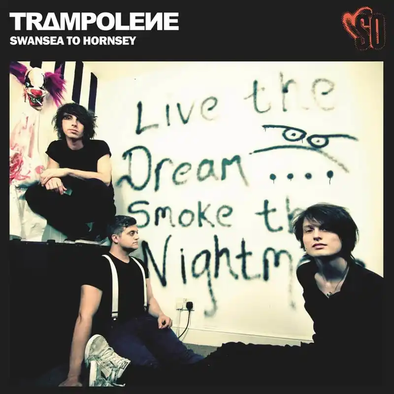 Professional Grade Trampolene - Swansea To Hornsey (LP)
