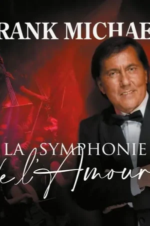 Factory Price Frank Michael - La Symphonie De L'amour (LP)