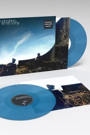 Turin Brakes - Ether Song (2 LPs) Best Choice