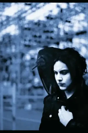 Special Offer Jack White - Blunderbuss (LP)