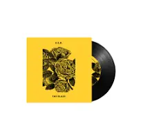 Professional Grade H.E.R. & Foo Fighters - The Glass (Single)