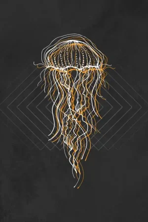 Midas Fall - Cold Waves Divide Us (LP) Special Offer
